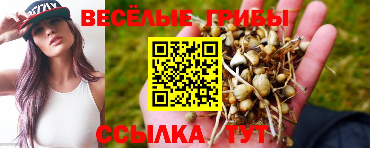 Галлюциногенные грибы MAGIC MUSHROOMS Мирный